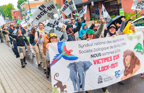 Le Zoo de Granby est une jungle pour ses employé-es