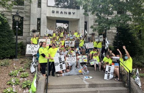 Trêve médiatique et reprise sérieuse de la négociation au Zoo de Granby