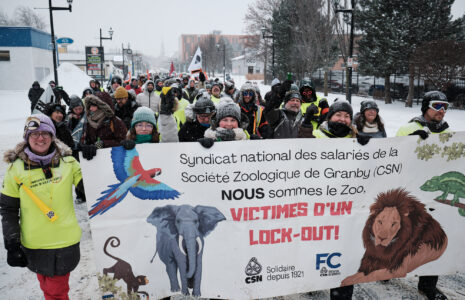 Six mois de lock-out au Zoo de Granby!